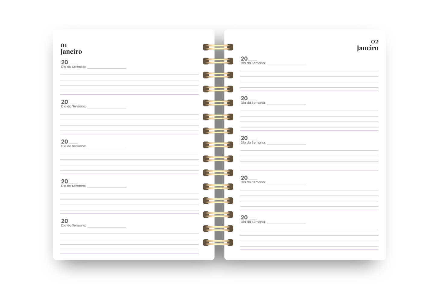 Diário de cinco anos