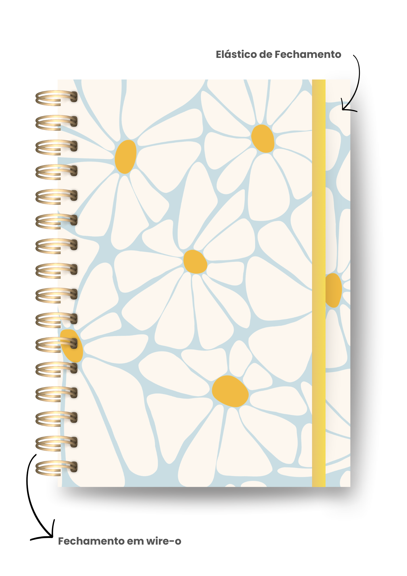 Diário de cinco anos