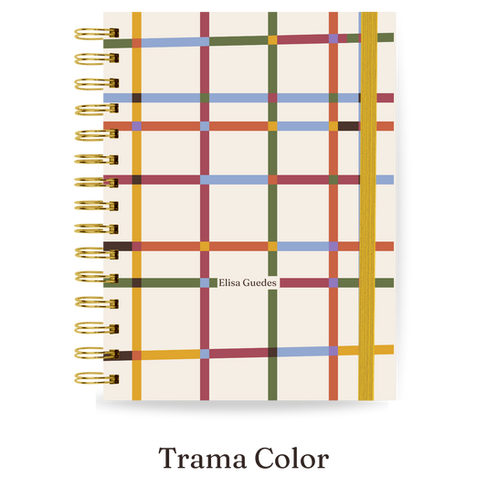 Planner 2027 Multivisão Vertical Midi — Trama Color