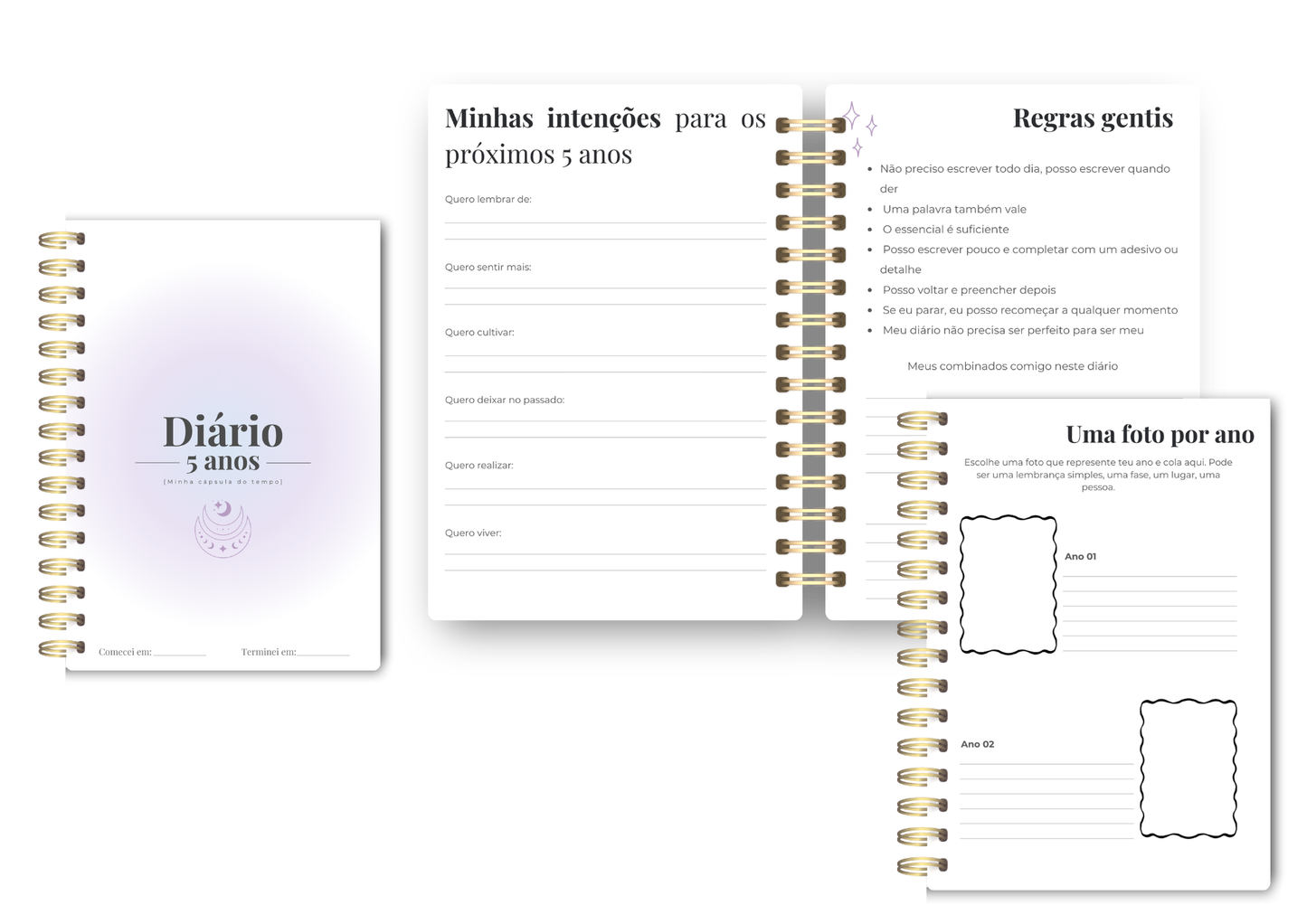 Diário de cinco anos