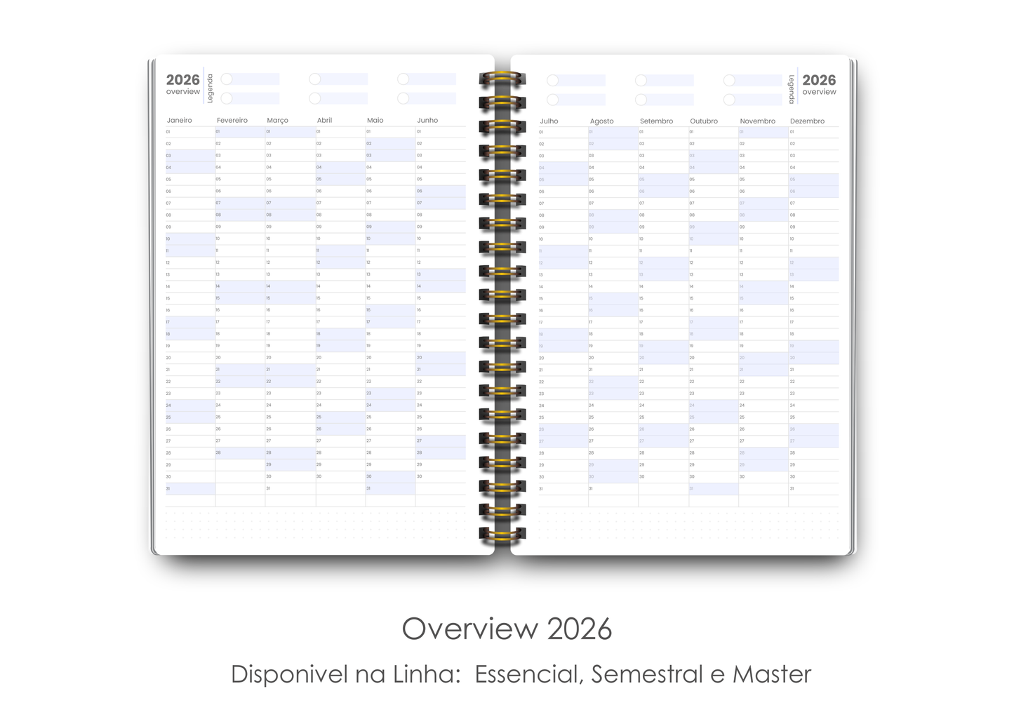 Midi Essencial - Coleção Capas Bold
