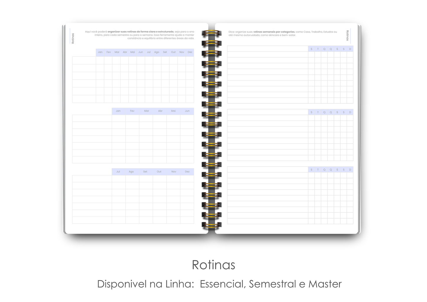 Maxi Master – Coleção Bold