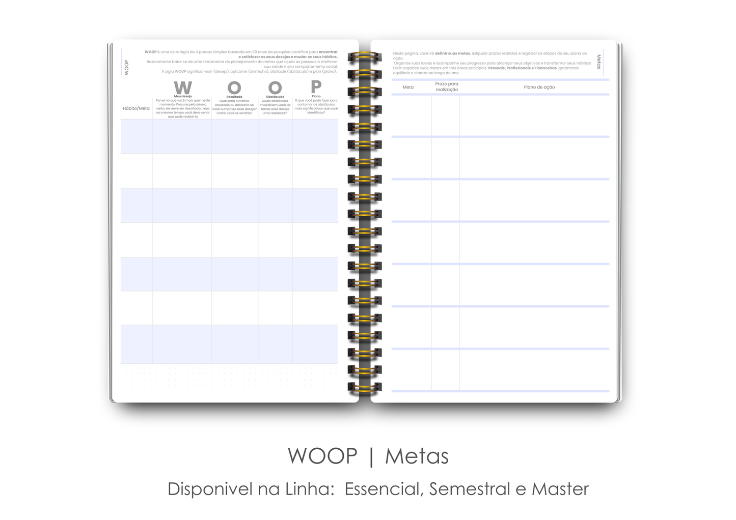 Midi Essencial - Coleção Capas Bold