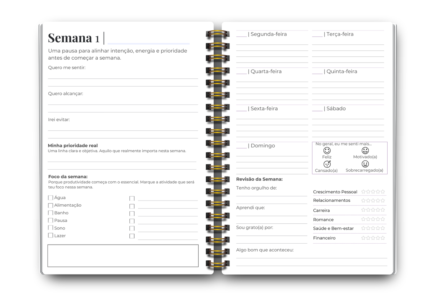 Wellness book