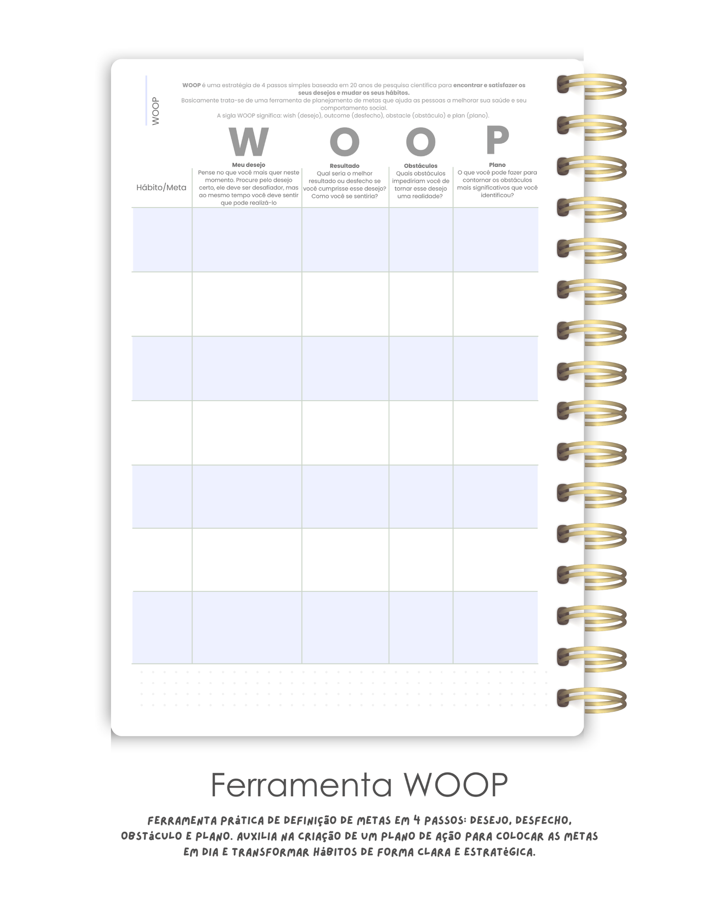Midi Essencial - Coleção Capas Bold